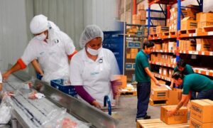 PERSONAL para EMPAQUE y ETIQUETADO