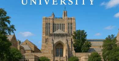 Yale University: Programs, Admissions, Scholarships, Research, and Campus Life