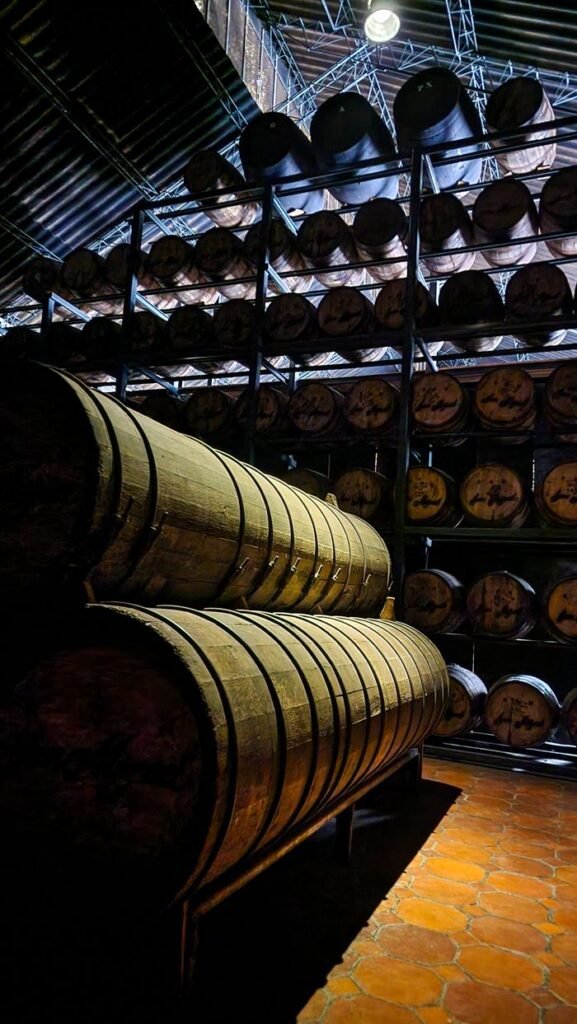 Rows of wooden barrels aging in a dimly lit distillery warehouse, capturing the rustic charm.